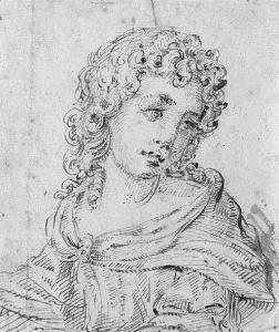 SIENNESE SCHOOL,A youth, bust-length, his head inclined to the right,Christie's GB 2001-07-09