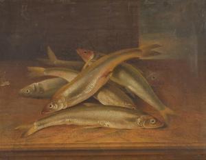 SILLETT James 1764-1840,Still life of freshwater fish, probably Dace, on a,Sotheby's GB 2024-04-10