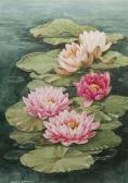 SIMMONS Bobbie,Water Lily,David Duggleby Limited GB 2022-04-30