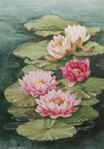 SIMMONS Bobbie,Water Lily,David Duggleby Limited GB 2022-04-30