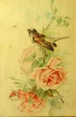 Simon Suzanne 1900-1900,Oiseau sur la branche,Siboni FR 2018-03-25