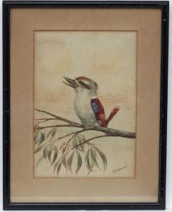 SIMPSON. A.P. H 1900,Kookaburra on a Eycalyptus tree branch,Dickins GB 2016-11-12