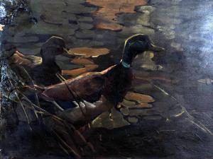 SIMPSON CHARLES,Mallard,David Lay GB 2014-07-31