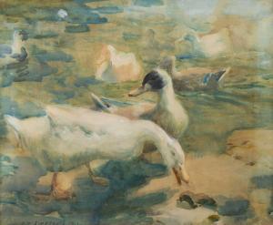 SIMPSON Charles Walter 1885-1971,Study of Ducks (Lamorna,1913,David Lay GB 2024-02-29