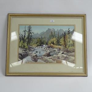 Simpson E. Charles,the Mackenzie Mountains, Central Vancouver Isl,1981,Burstow and Hewett 2022-07-07