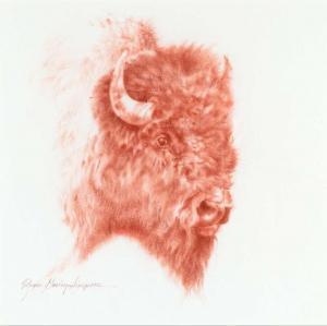 SIMPSON Rogue 1943-2005,Buffalo Bull,Jackson Hole US 2022-02-18