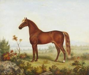 SINDBERG Adamine 1840-1919,Portrait de cheval,Mercier & Cie FR 2020-10-11