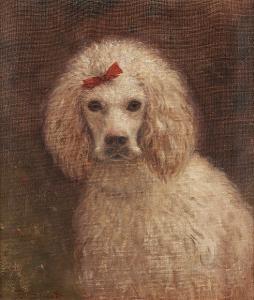 SINET Ferdinand 1800-1900,Portrait of the poodle Widmore Jane,Bonhams GB 2005-01-25