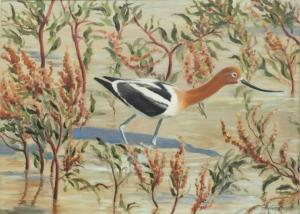 SINGER Arthur 1917-1990,Avocet,Copley US 2022-03-04