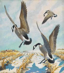 SINGER Arthur 1917-1990,Canadian Geese Landing in a Cornfield,Swann Galleries US 2019-12-10