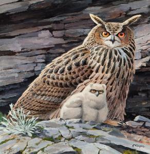 SINGER Arthur 1917-1990,Pair of Owls,Heritage US 2015-05-02