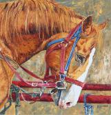 SKINNER JODY 1963,ONE OUTRIDER, HORSE FACE,Hodgins CA 2015-11-23