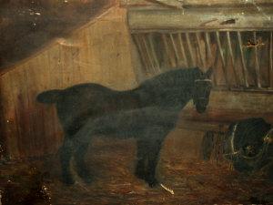 Skoyles D,Horse in a stable,Rosebery's GB 2008-07-08