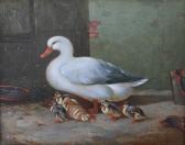 SLANEY J,A DUCK WITH DUCKLINGS,1868,Lawrences GB 2011-07-08