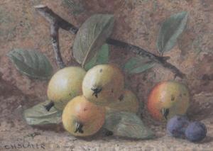 SLATER Charles Henry 1820-1890,Still life fruit on a mossy bank,Burstow and Hewett GB 2016-09-21