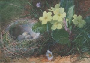 SLATTER Haldane,Still Life Study of Bird's Eggs in a Nest be,19th Century,Tooveys Auction 2008-12-03