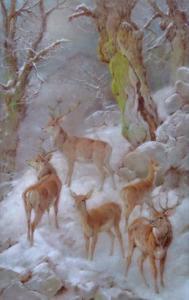 SLAVESSE W.B,Group of stags and deer,1899,Peter Wilson GB 2013-02-20