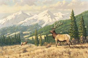 SLEICHER ROBERT S. 1927-2017,Alberta Elk,Skinner US 2018-01-26