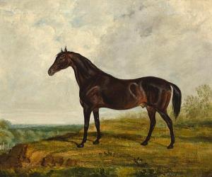SLOAN J.W 1800-1800,A dark bay stallion in an extensive landscape,Bonhams GB 2010-10-20