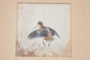 SMALLWOOD Kenneth,the Woodcock bird,Nye & Company US 2022-02-02