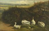 SMETHAM James 1821-1889,Geese in a landscape,Cheffins GB 2018-11-28