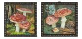 SMETZ Alberta Johanna 1893-1953,Toadstools,Leonard Joel AU 2020-08-25