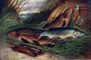 SMITH A 1800-1800,Fish on Riverbank,Keys GB 2012-03-16