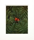 SMITH clinton,Two Red Leaves in the Woods,Clars Auction Gallery US 2011-06-12
