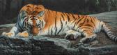 Smith Dan 1954,Lair of the Tiger,2008,Hindman US 2023-08-29