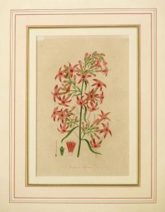 SMITH F.W,Botanical subjects,1834,Sworders GB 2010-09-21