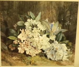 SMITH G.R,Rhododendrons,1887,Moore Allen & Innocent GB 2021-07-21