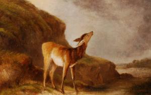 SMITH John Henry 1800-1800,A young fawn,Burstow and Hewett GB 2009-02-25