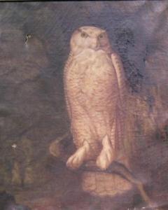 SMITH John Henry 1800-1800,OWL,1882,William Doyle US 2005-11-09