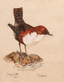 SMITH John 1786-1794,Studies of birds,1975,Capes Dunn GB 2019-10-01