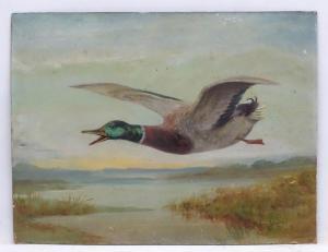 SMITH John Thomas 1766-1833,Mallard over wetland marsh,Dickins GB 2018-04-13