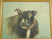 SMITH Kay,Study of a Staffordshire bull terrier,Lacy Scott & Knight GB 2017-06-24