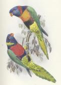 SMITH Seton 1955,Parrakeets. A Handbook to the Imported Species,Bonhams GB 2013-06-19