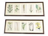 SMITH W.G 1800-1900,Collection of ten floral,Gardiner Houlgate GB 2016-01-14