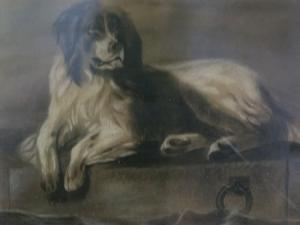 SMITHERS F,Newfoundland Dog,1892,Gilding's GB 2017-02-21