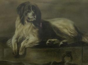 SMITHERS F,Newfoundland Dog,1892,Gilding's GB 2017-01-24
