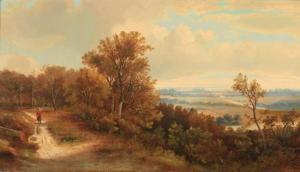 smithson j. s,TRAVELER ON A COUNTRY ROAD IN AN EXTENSIVE LANDSCA,1872,Sloans & Kenyon US 2010-11-13