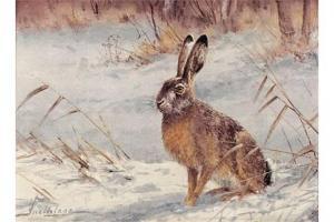 SNETHLAGE Karl Hellmut 1925-2011,Hase in winterl,Schopmann DE 2015-06-19