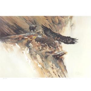 SOLBERG Morten Edward 1935,MONARCH OF THE SKY--GOLDEN EAGLE,1986,William Doyle US 2012-02-22