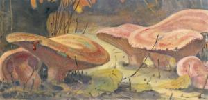 SOLTAU Otto 1885-1915,Study of toadstools,Woolley & Wallis GB 2021-08-11