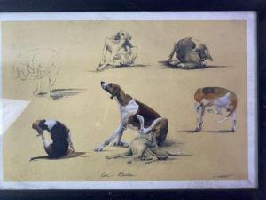 SORDOT Matthieu 1900-1900,La puce : attitudes de grands chiens de meute ,Hotel des ventes Giraudeau 2022-02-02