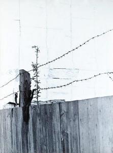 SOUCEK LUDVIK 1926-1978,Barbed Wire,Vltav CZ 2017-09-21