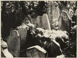 SOUCEK LUDVIK 1926-1978,JEWISH (LESSER TOWN) CEMETERY,Zezula CZ 2017-10-07