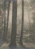 SOULLIER Emmanuel 1900-1900,Forêt de Fontainebleau, étude d'arbres,1905,Millon & Associés 2012-03-06
