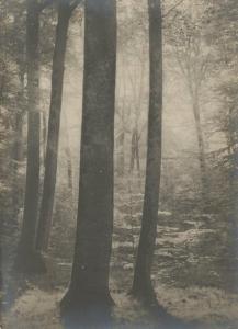 SOULLIER Emmanuel 1900-1900,Forêt de Fontainebleau, étude d'arbres,1905,Millon & Associés 2012-03-06