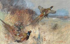 SOUTHGATE Frank 1872-1916,Pheasants Breaking cover,Bonhams GB 2023-07-05